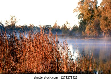 Sunrise On The Murrumbidgee River Near Wagga Wagga, NSW, Australia. 