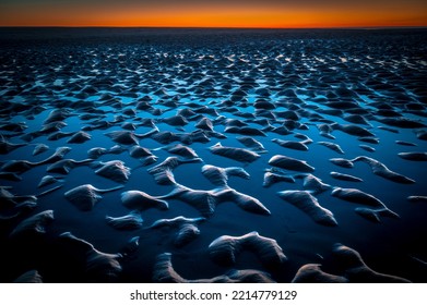 Sunrise On A New England Beach At Low Tide