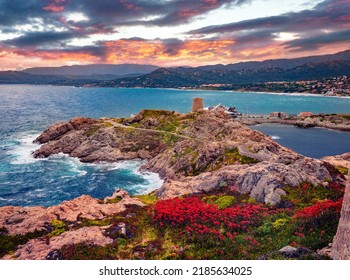 Sunrise on Pietra cape with Genoise de la Pietra a L'ile-Rousse tower on background. Dramatic morning scene of Corsica island, France, Europe. Traveling concept background.