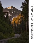 sunrise on the road in Mount Rainier National Park, USA