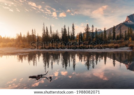 Sunrise on Rocky mountains and autumn forest reflection on the river at national park. Canmore, Alberta, Canada