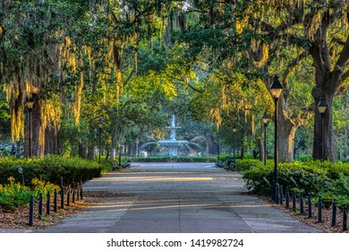 Sunrise On Spanish Moss In Downtown Savannah, Georgia