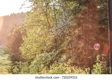 Sunrise On The Trees, Cranbrook, BC