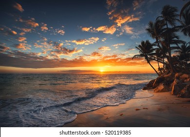 Sunrise on a tropical island. Palm trees on sandy beach.