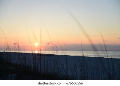 Sunrise On The US Gulf Coast With Sea Oats