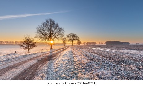 Sunrise On Winter Morning Ligth Snow On Field Road Track Fading To Horizon Sun Rays Through Tree Branches Blue Sky With Orange Glow Warm And Cold