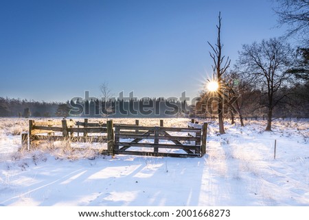 sunrise on winter morning ligth snow on field with wooden fence sun rays through tree branches blue sky nice shadows forest on background