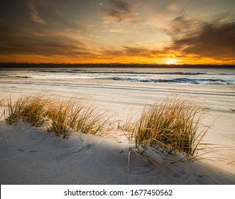 Sunrise over the Atlantic coast on Long Beach Island, NJ in late November with a sandy beach and tufts of grass in the foreground
