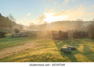 Sunrise over the cloud forest