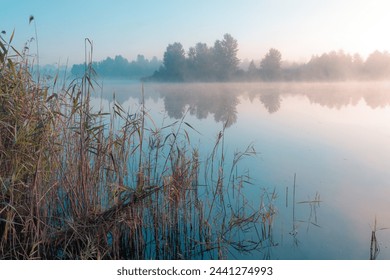 Sunrise over foggy lake. Reeds in the foreground on the lake coast.  Sun is rising on the further river bank. - Powered by Shutterstock