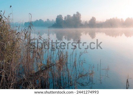 Sunrise over foggy lake. Reeds in the foreground on the lake coast.  Sun is rising on the further river bank.