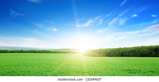 sunrise over a green field