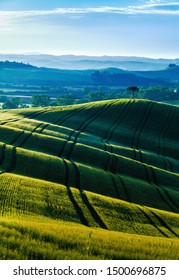 Sunrise Over Green Hills In Tuscany, Italy