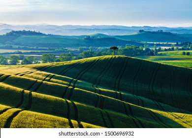 Sunrise Over Green Hills In Tuscany, Italy