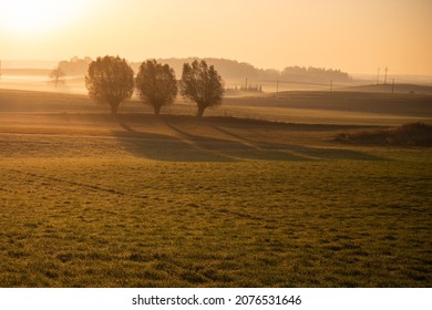 Sunrise Over The Hazy September Meadow