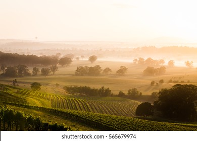 Sunrise over Hunter Valley vineyards - Shutterstock ID 565679974
