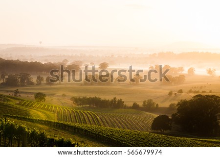 Sunrise over Hunter Valley vineyards