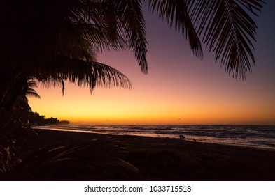 Sunrise Over Jacmel Beach Haiti Stock Photo 1033715518 | Shutterstock