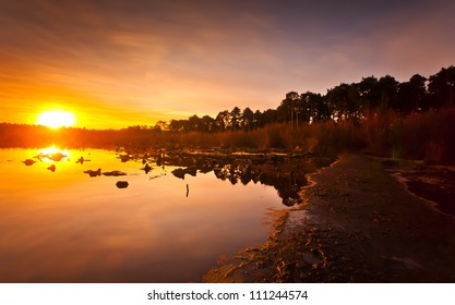 Sunrise Over A Lake In Delamere Forest, Cheshire, England