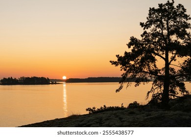 Sunrise over the lake. A lonely pine tree on a rocky shore. - Powered by Shutterstock