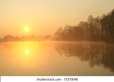Sunrise over the lake with the reflection of bare trees in the water.