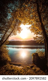 Sunrise Over The Lake Through The Forest Trees