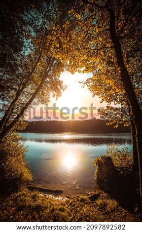 Sunrise over the lake through the forest trees