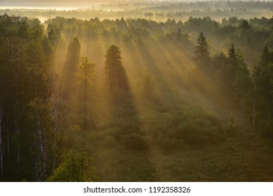 Sunrise Over Masuria Forrest With Beams