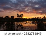 Sunrise over pond in county park, Bradenton, Florida.