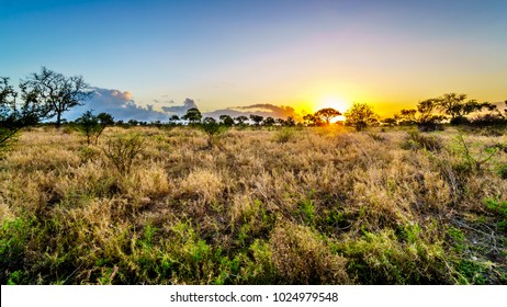 Sunrise Over The Savanna And Grass Fields In Central Kruger National Park In South Africa