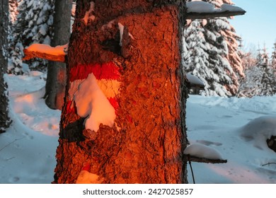 Sunrise over snowy mountain landscape of Kor Alps, Carinthia Styria, Austria. Snow covered alpine pine trees in soft red orange light. Tranquil serene atmosphere in winter wonderland, Austrian Alps - Powered by Shutterstock