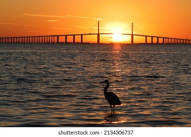 Sunrise over Sunshine Skyway Bridge from Ft. DeSoto, St. Pete, FL