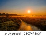 Sunrise over a swamp crossed by a muddy river.