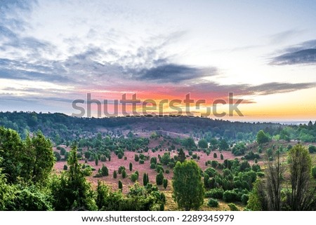 Sunrise over Totengrund, a small valley covered with heather and junipers in the nature reserve of Lüneburger Heide.