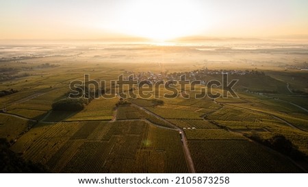 Sunrise over the vineyards of Alsace by drone
