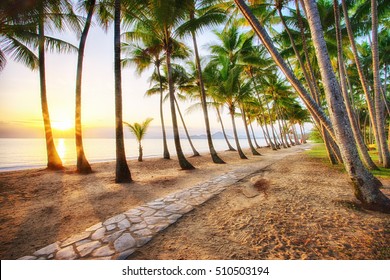 Tropical North Queensland High Res Stock Images Shutterstock