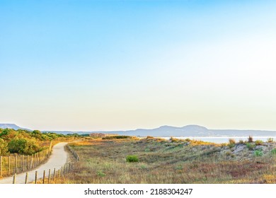 Sunrise in Pals, path near beach and wild dune in Pals, Catalonia, Spain