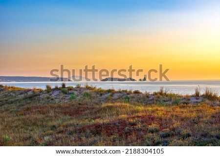 Sunrise in Pals, sandy beach and wild dune beachgrass vegetation in Pals, Catalonia, Spain Imagine de stoc © 