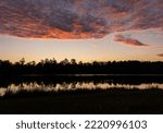 Sunrise at Paul B Johnson State Park near Hattiesburg, Mississippi over the lake. Download now!