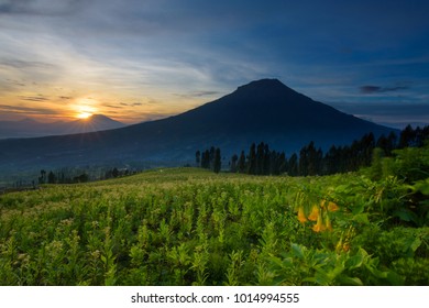 Imagenes Fotos De Stock Y Vectores Sobre Posong Shutterstock