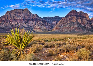 Sunrise At Red Rock Canyon In Nevada.