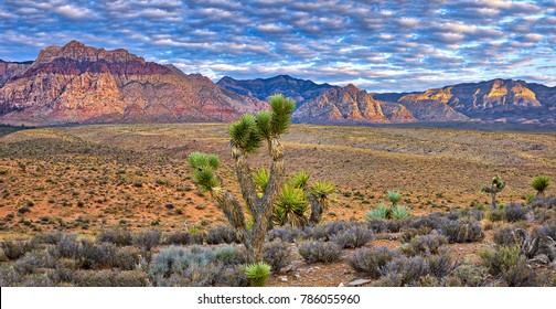 Sunrise At Red Rock Canyon In Nevada.