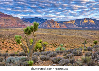 Sunrise At Red Rock Canyon In Nevada.