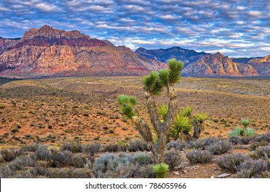 Sunrise At Red Rock Canyon In Nevada.