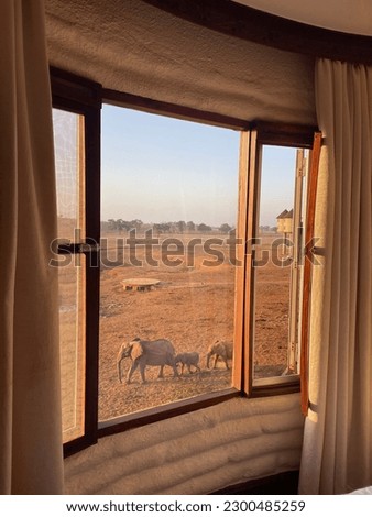Sunrise at Salt Lick Safari Lodge in Kenya.