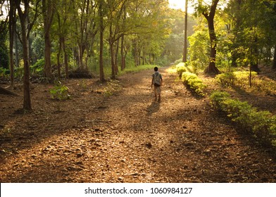 Sunrise At Sanjay Gandhi National Park Mumbai