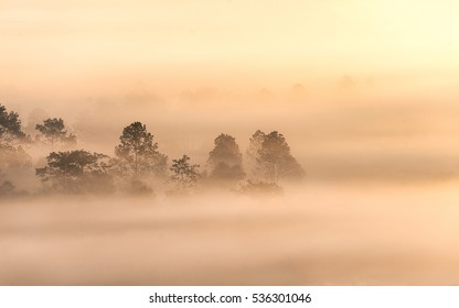 Sunrise In Savanah Meadow In The Mist With Mountain Background.