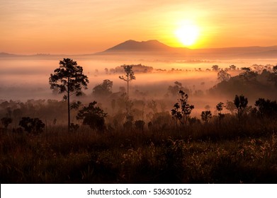 Sunrise In Savanah Meadow In The Mist With Mountain Background.