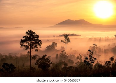 Sunrise In Savanna Meadow In The Mist With Mountain Background.