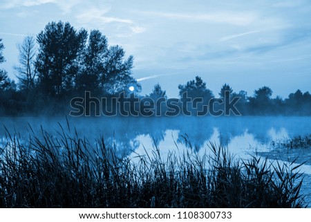 Similar – Image, Stock Photo Morning fog over river, meadow and forest. Nature sunlight scene